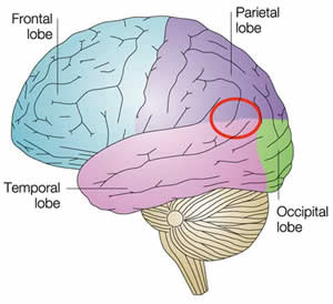 Science of the supernatural - out of body experiences