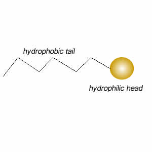 GCSE CHEMISTRY - What is an Emulsifier? - How does an Emulsifier work? -  What are Hydrophilic and Hydrophobic Molecules? - GCSE SCIENCE.