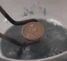The copper coin about to be placed in the boiling sodium hydroxide and zinc powder mixture.