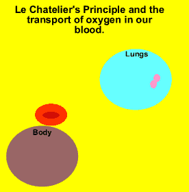 oxygen equilibrium gif chemistry blood haemoglobin principle reaction animation le reverse molecule bind release protein cells