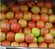 Total mass of these Pink Lady apples  24kg