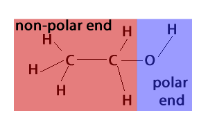 Is Alcohol a Polar?