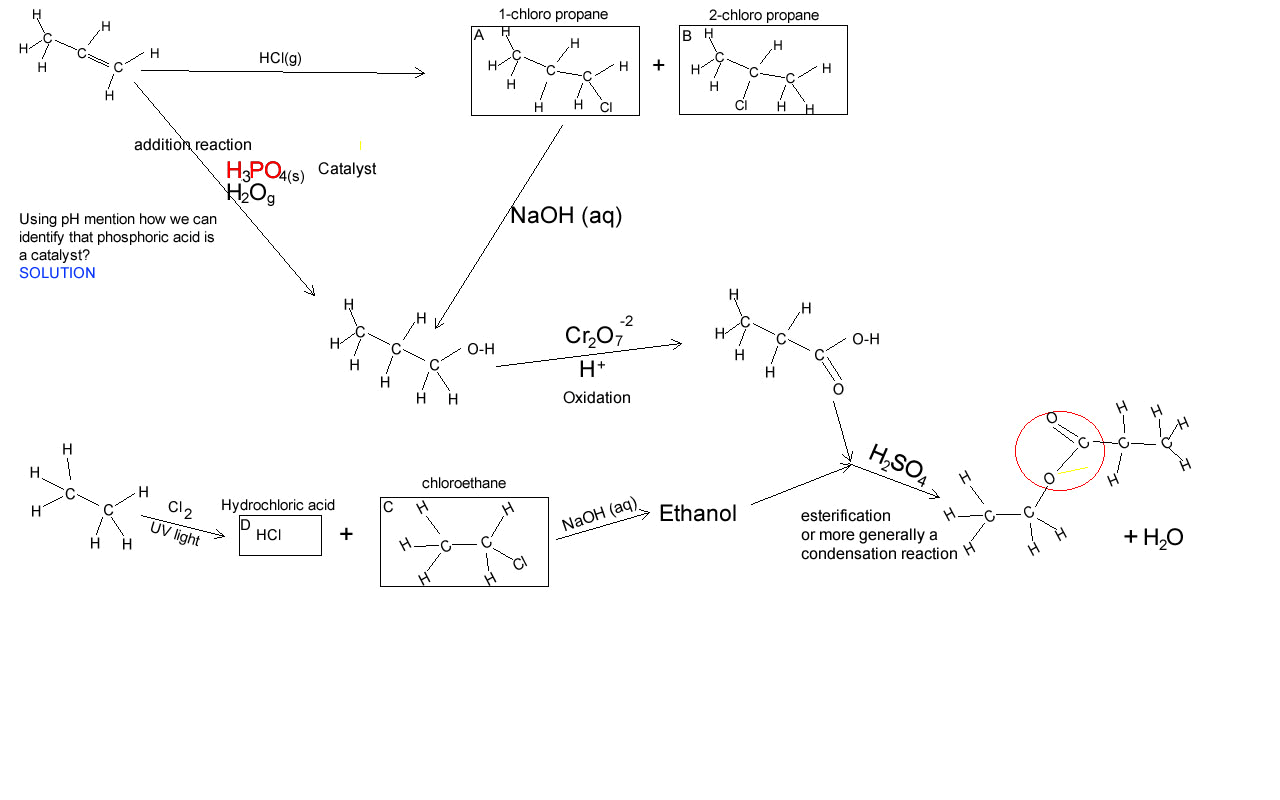 Chemistgry organic Pathways 14