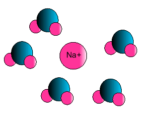 What are the intermolecular forces? + Example What are the intermolecular forces? + Example