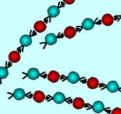 The polymers formed after polymerisation.