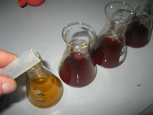 sodium solution burette liquid thiosulphate concentration