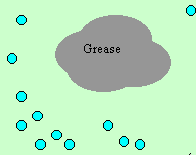 Water molecules do not mix with grease particles.
