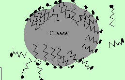 The grease molecules burry their tail into the grease exposing their heads to the water,  attracting water molecules. Click to see 