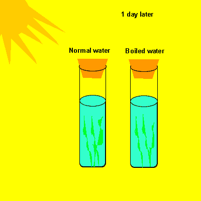 Water level increases observed from controlled experiment