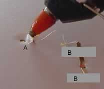 Glue the lip of the syringe that protrudes from the bottom and tape the split pin to the stand