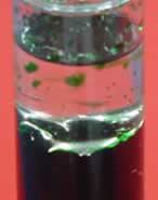 The bubbles of oil are large and break easily. The do not last for long.,