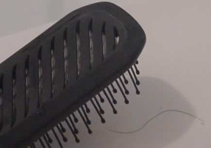The brush contains evidence in the form of hair fibres. Click for more information.